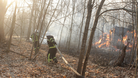 Imagen de los incendios cerca de la zona radiactiva de Chernóbil. / Reuters