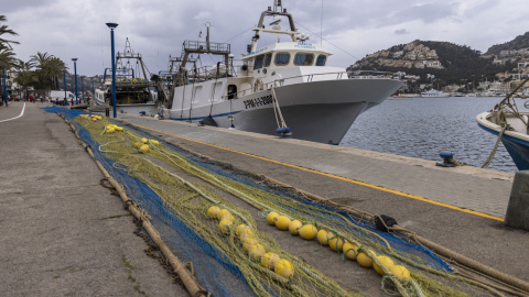 Barcos de pesca amarrados este sábado 20 en el Port de Andratx (Mallorca).