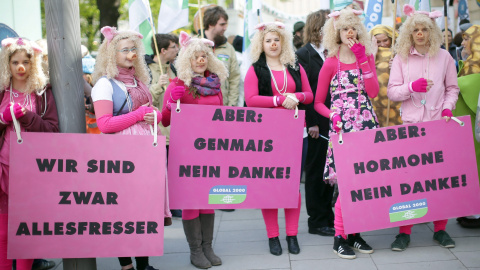 Varias mujeres ataviadas como la cerdita Peggy en la marcha contra el TTIP en Viena. EFE/EPA/GEORG HOCHMUTH