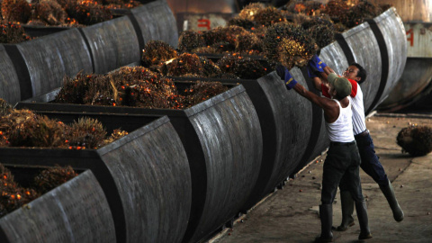 Trabajadores en una planta de aceite de palma en Malingping, Indonesia. REUTERS