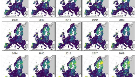 Superficie forestal cultivada por año en la Unión Europea. / G. Ceccherini et al./Nature