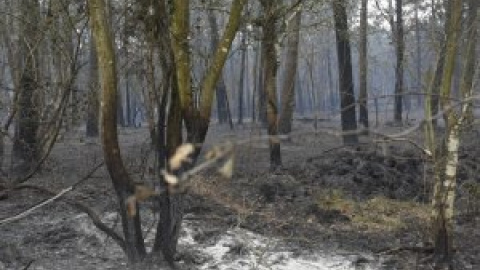 Valdés, la "zona cero" de los incendios asturianos, resurge de sus cenizas