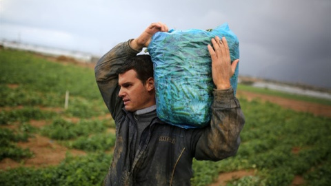 Albert Rivera ejerciendo un trabajo precario. Save the Children