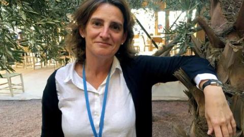 La nueva ministra de Medio Ambiente, Energía, Agua y Cambio Climático, Teresa Ribera, en una foto de archivo. EFE