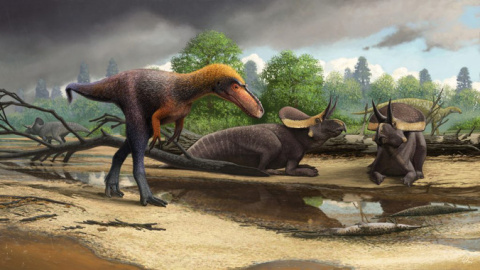 La especie de tiranosauroide Suskityrannus hazelae vivió hace 92 millones de años durante el Cretácico Medio / Andrey Atuchin