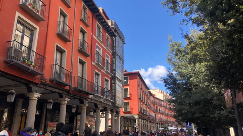 Manifestación feminista en Castilla y León contra Vox