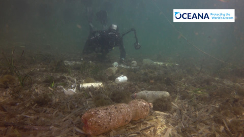 El plÃ¡stico se convierte en el rey en el DÃ­a Mundial de los OcÃ©anos