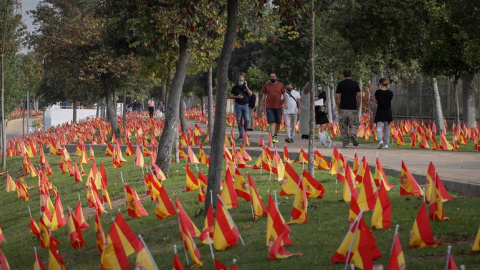 Vista de las 53.000 banderas colocadas por la Asociación Nacional de Víctimas y Afectados por Coronavirus (Anvac) junto al río Guadalquivir a su paso por Sevilla este domingo "en homenaje" y para "pedir justicia" por los fallecidos durante 