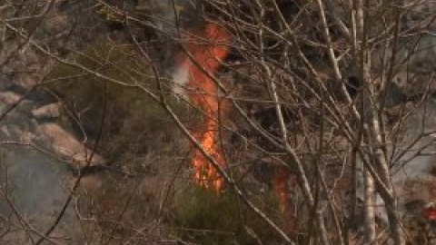 Bomberos de Navarra logran controlar un incendio en el valle de Baztan