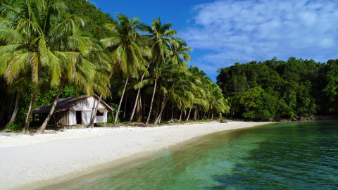 Una de las islas donde van los turistas que pagan por esta experiencia.