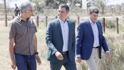 El presidente del Gobierno, Pedro Sánchez (c), junto al director Estación Biológica de Doñana, Eloy Revilla, y el delegado del gobierno en Andalucía, Pedro Fernández, este jueves durante la visita realizada al Parque Nacional de Doñana