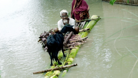 Una pareja bangladesí con una cabra navegan por las aguas de una gran inundación en el sur del país en busca de refugio AFP PHOTO/ Farjana K. GODHULY