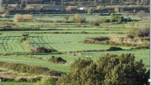 Monzón, desde los terrenos en los que Solmasol prevé ubicar la planta incineradora de biomasa.