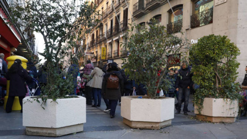 Grandes maceteros para la seguridad / EFE