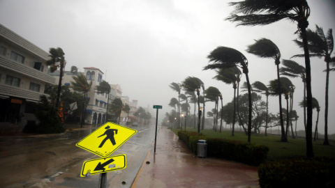 El viento del huracán golpea las palmeras en la calle Ocean Drive de Miami Beach (Florida).REUTERS/Carlos Barria