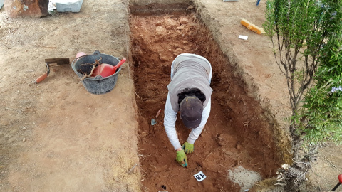 Inicio de la exhumación de la fosa en el municipio de Nerva