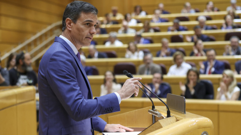 El presidente del Gobierno, Pedro Sánchez, en el pleno del Senado durante su comparecencia, la quinta monográfica de la legislatura. EFE/ Kiko Huesca