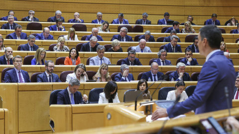 25/04/2023.- El presidente del Gobierno, Pedro Sánchez, en el pleno del Senado durante su comparecencia, la quinta monográfica de la legislatura, este martes en Madrid. EFE/ Kiko Huesca