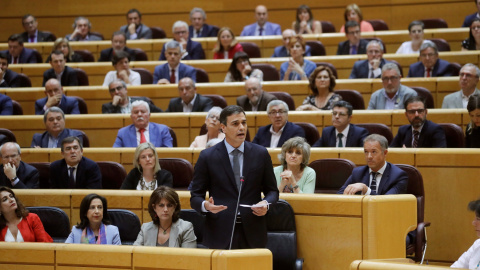 El presidente del Gobierno Pedro Sánchez, durante su intervención en la sesión del pleno del Senado, en Madrid. EFE/Juan Carlos Hidalgo