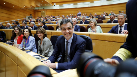 El presidente del Gobierno, Pedro Sánchez, antes de someterse a su primera sesión de control en el Pleno del Senado. EFE/Juan Carlos Hidalgo