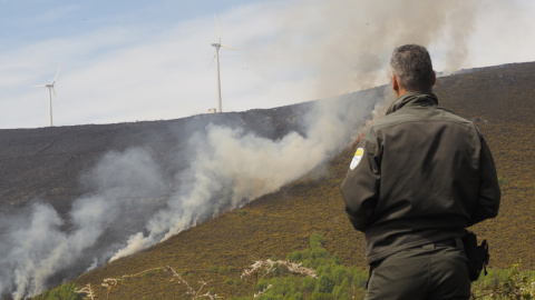 Incendio forestal en el municipio lucense de Palas de Rei, a 17 de abril de 2022.