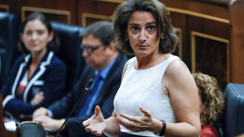 La ministra de Transición Ecológica Teresa Ribera, durante su la sesión de control en el Congreso de los Diputados. EFE/Emilio Naranjo