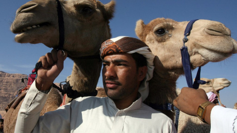 Imagen de archivo de un beduino que sostiene dos camellos por el arnes de sus cabezas.