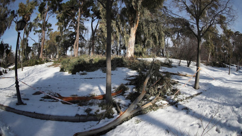 Zonas nevadas en el madrileño parque de El Retiro este viernes, seis días después del paso de la tormenta Filomena. El alcalde de Madrid, José Luis Martínez-Almeida, ha visitado hoy el parque para evaluar los daños ocasionados en el recinto