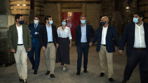 El líder del PP, Pablo Casado, junto a los presidentes autonómicos de su formación.