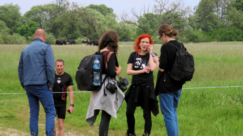 Activistas por los derechos de los animales se reúnen para defender el rebaño de vacas en libertad en la reserva natural Zakole Santockie cerca de Deszczno. Reuters