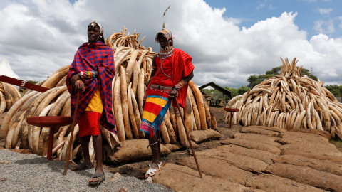 Miembros de la traditional tribu Maasai posan cerca de unos 105 colmillos de elefante, en el Parque Nacional de  Nairobi, Kenia. REUTERS/Thomas Mukoya