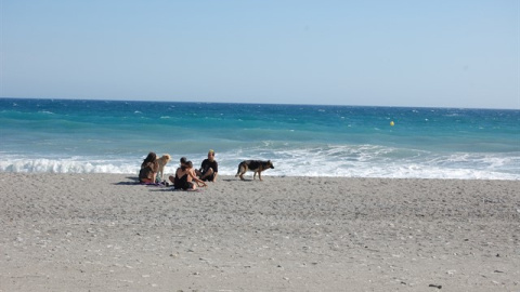 Playa de Granada, en Motril