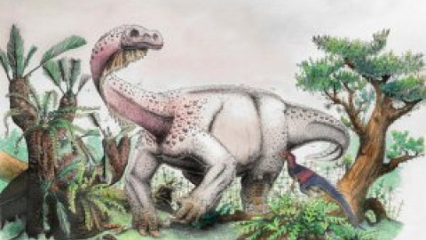 Un nuevo dinosaurio gigante del Jurásico en Sudáfrica