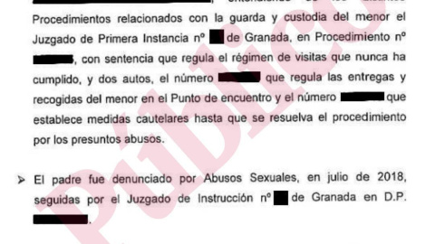 Infancia Libre declaraciones a la policía en el caso M.V.C.