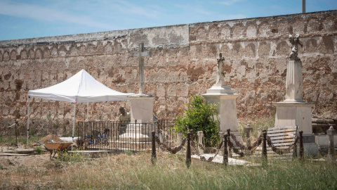 Zona de exhumación en el viejo cementerio de San José. / SOS BEBÉS ROBADOS CÁDIZ