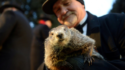 Phil, en el Día de la Marmota que se celebra en Punxsutawney (Pensilvania), popularizado por la película 'Atrapado en el tiempo'.