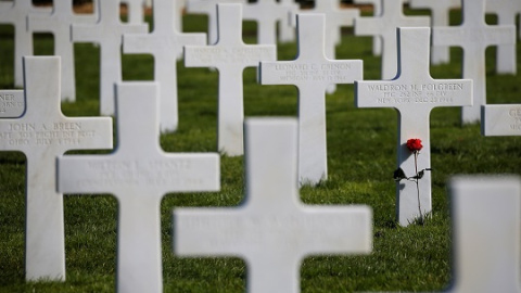 26/03/2019- Una rosa en el cementerio en memoria de los soldados caídos en el Desembarco de Normandía. / REUTERS - Stephane Mahe