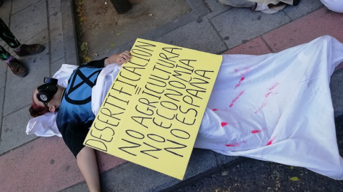 05.06.2019 / Una mujer del  Extinction Rebellion en la calle Ferraz para exigir "emergencia climática". / Paula Peñacoba