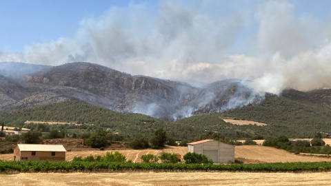 15/06/2022 - Imatge de l'incendi forestal de Baldomar, a la Noguera.