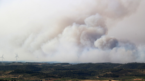 15/06/2022 - L'incendi de Corbera d'Ebre d'aquest dimecres.