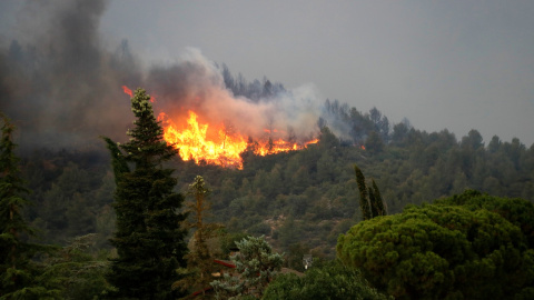 15/06/2022 - Flames a l'incendi de Baldomar, a Artesa de Segre.