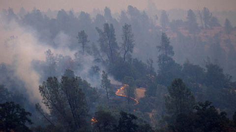 Imagen del incendio en California. REUTERS/Bob Strong