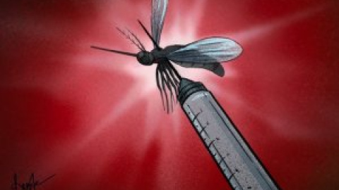 Salud en positivo - Mosquito 'killer'