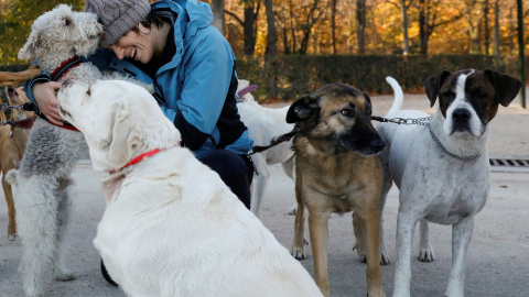 Los animales de compañía pasarán a ser considerados como "seres vivos dotados de sensibilidad". REUTERS