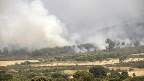 El incendio forestal declarado el miércoles por la noche por los rayos de una tormenta seca en la reserva de la Sierra de la Culebra, en la provincia de Zamora