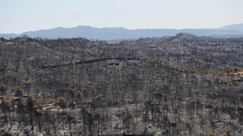 Vista del terreno calcinado este sábado tras el paso del incendio forestal de Tarragona que ha afectado a la comarca de la Ribera d'Ebre desde el miércoles. Tras arrasar unas 6.000 hectáreas y afectar a municipios tarraconenses como Flix o 