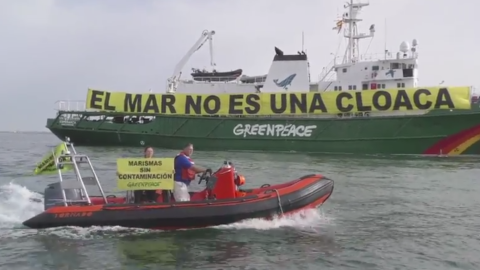 Fotograma del vídeo que Greenpeace ha difundido para dar a conocer la acción | Foto: Greenpeace