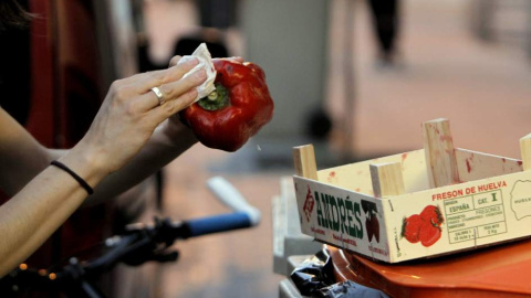 Foto de archivo de una voluntaria española recogiendo alimentos de contenedores. / EFE