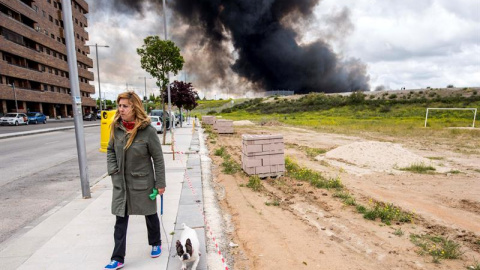 Columna de humo provocada por el incendio del cementerio de neumáticos de Seseña vista desde la cercana urbanización El Quiñón.-  EFE/Ismael Herrero