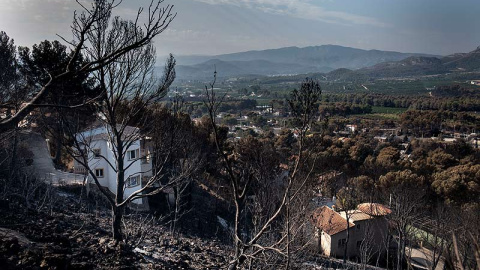 Urbanizaciones Montepino y Montesol afectadas por el incendio forestal de Llutxent, en Gandía. Greenpeace/Pedro Armestre